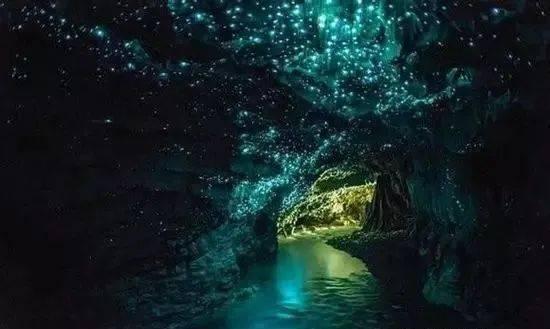你有没有经历过有人太装正好撞到你擅长的领域上？