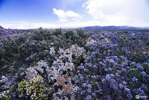 【相约“十四冬”】滑雪界的马拉松，冬季山地运动，挑战体能极限——滑雪登山