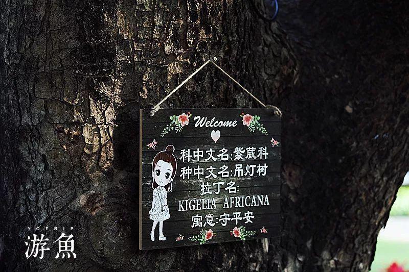 你有友谊吗??游戏画面