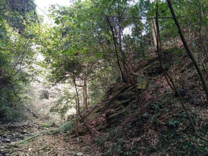 从兰州起到啥地方下高速才能上天平高速？