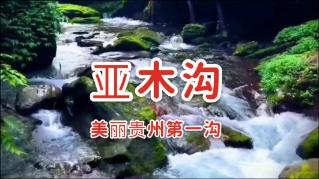 沪江开心词场