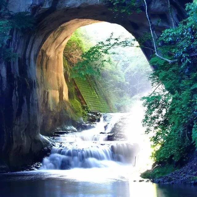 悬崖跳水运动