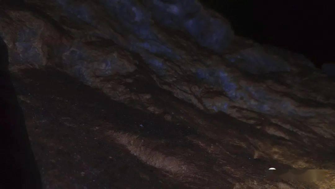 你能逃离此地吗