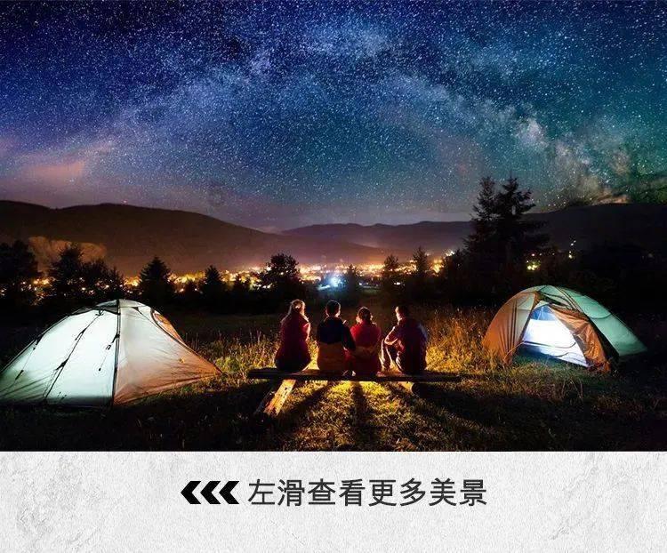 呆萌动物园