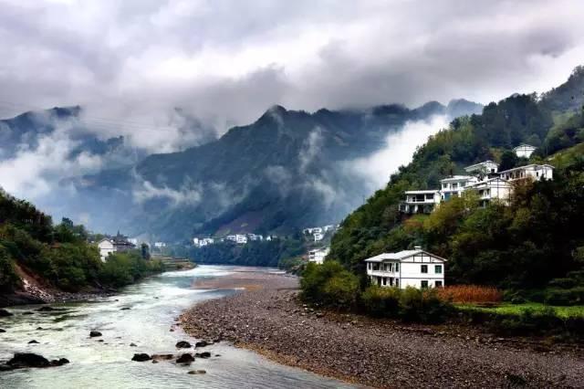 浦江薛先生在街头捡到一只鸟…