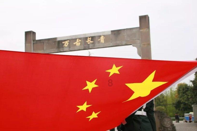 生化危机：浣熊市行动