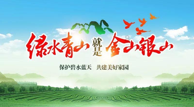 单词总是记不住，咋办