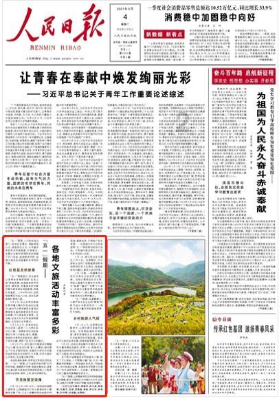 救援大嘴鸟