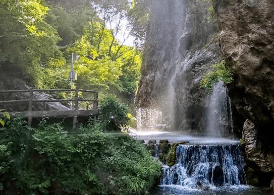 梦想的后院