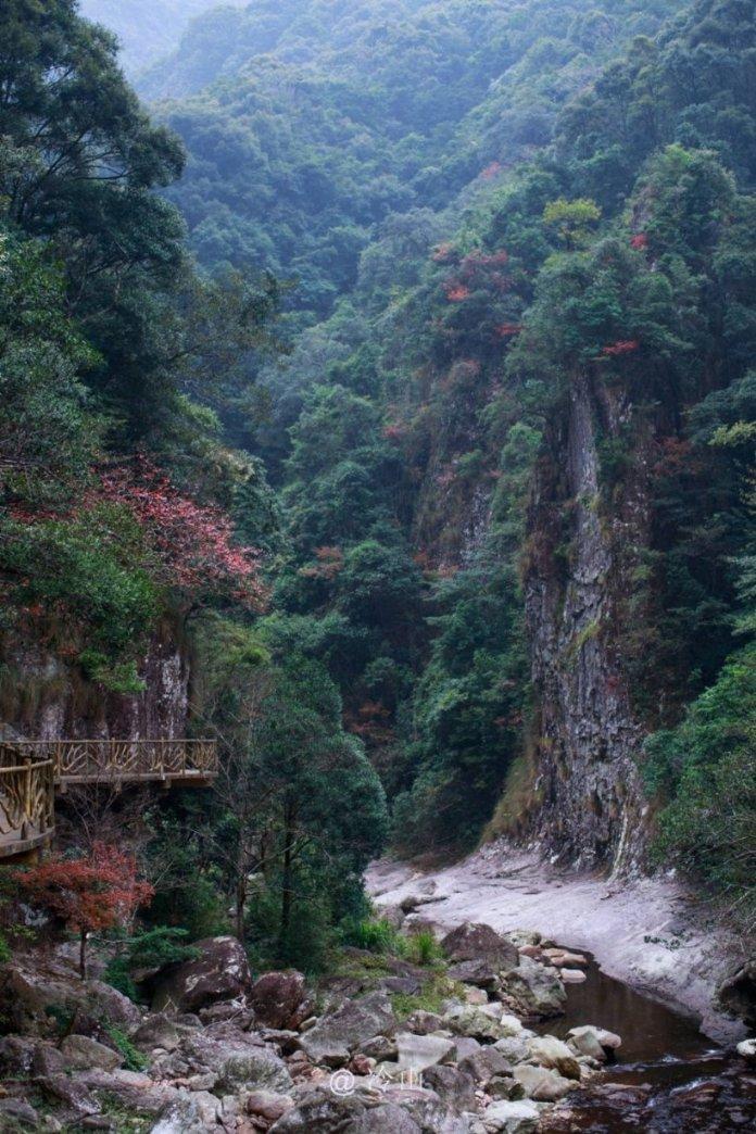 逃离龙的圣地