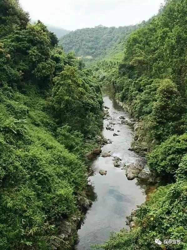 土匪林秀山：让老婆和心腹带钱逃跑，自己半夜下山偷红薯被抓