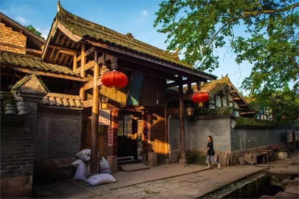 口袋森林世界杯防守战