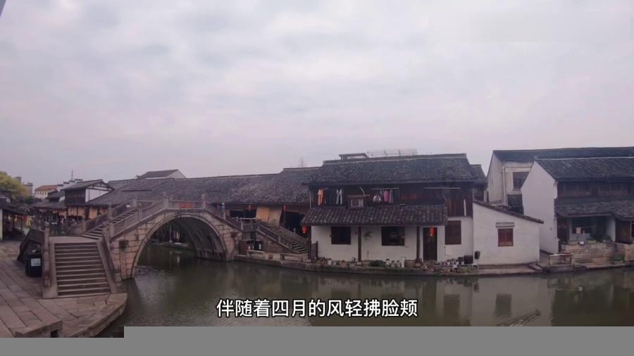 救援瓢虫宝宝