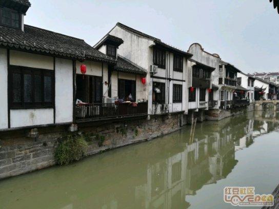 热血NBA万圣节篇