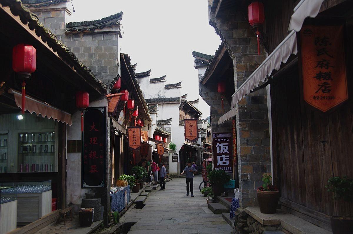 细胞分裂6