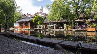 盐和避难所