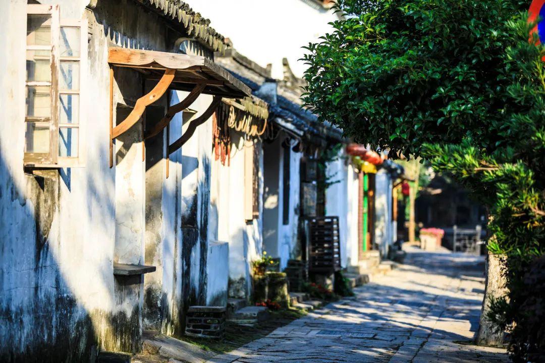 破碎的动物图形3