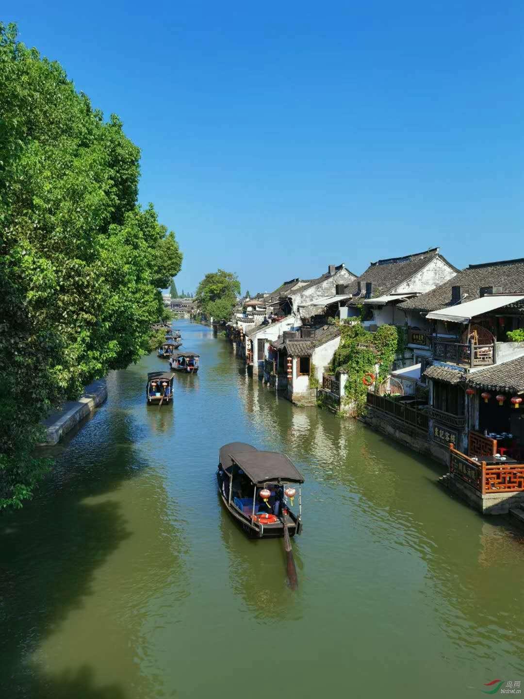 动词游戏