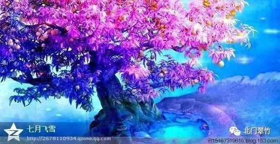 守望先锋电竞