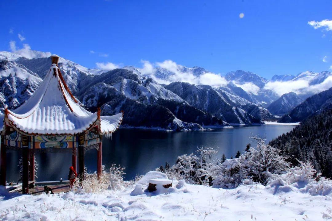 沪江开心词场